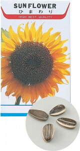 A[ebN ArTec Ԃ̎ q} LbY  ͔| wZ q K[fjO _Ƒ̌ ƒ؉ wZpi ~x wZ R ct ؍ wK w ċx q i