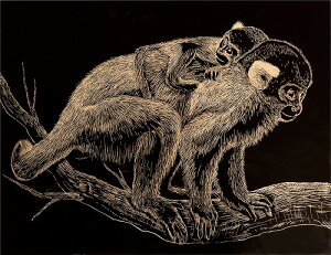 A[ebN ArTec S[hXNb`{[hA4  p w }H R p  wZ wZ  wZpi {[h [    Z  w R i XN