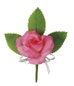 A[ebN ArTec RT[W ~jo sN ǂ ct  ̈ a wZ ԃRT[W q F ANZ  KN  G  wZpi u[` Ry 