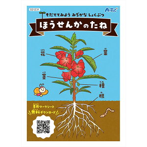 A[ebN ArTec ق񂩂̎(cۋ)  ق񂩂̎ ͔| ƒ؉ wZ cۋ q ώ@ i