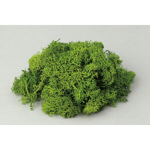 A[ebN ArTec ACXhXtbVO[ RH Ntg }H ͌^ ANAE { f [NVbv X|W p[c fBXvC S  O[ R ~j