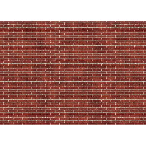 A[ebN ArTec WI}^bNV[g@ԃK@1/12@5g i