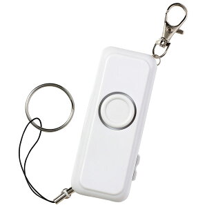 A[ebN ArTec hƃuU[Cg ( h ) LbY w   ʊw  ЊQ΍pi qp l oZ  h hƗpi hЃObY wZ w m点uU[ q 