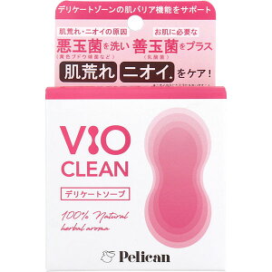 fP[g\[v VIO CLEAN i`n[u̍ 105g