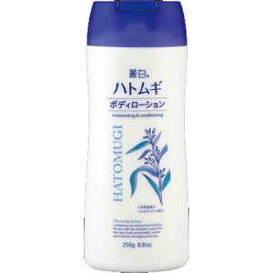y3Zbgz F 픒 ngM{fB[V 250g ngMGLX {fBN[ Sgp WF C CnN ێ ͂Ƃނ XLPA e pi ێ  {fB