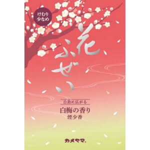 y2Zbgz J} Ԃӂ~  p^ pi Ԃӂ ~ ~̍ 