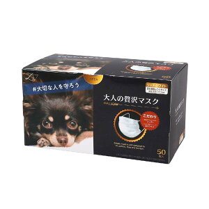 cY l̂}XN50 lґ}XN b`zCg jp zCg sDz}XN ӂTCY