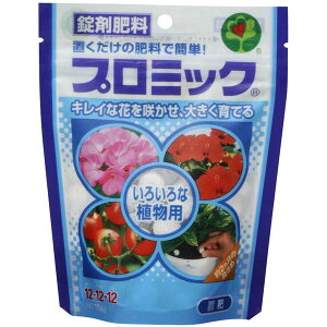 y2Zbgz nC|lbNXWp v~bN 낢ȐAp* 150g SҌ K[fjO _Ǝ ܔ엿 Rei ƒ؉ |엿 nC| u _ A   rM