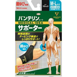 a oeR[ T|[^[eїpӂ~傫߃TCY(ubN) ubN Ep Vo[O[ oe  E fBJ Ђp NjbN 傫 ×pi 