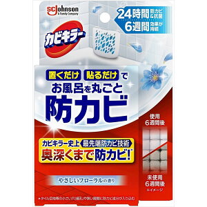 JrL[CɒuhJrWF ₳t[̍ { W\