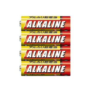�y10�Z�b�g�z �O�H 49J501 �A���J�����d�r (�P3/4�{��) LR6R/4S