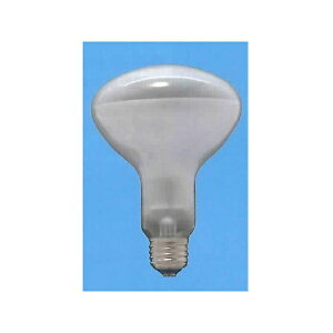 �y3�Z�b�g�z ���� 980400 ���t�����v R80E26 220V100W F (�����p/100W/E26/�t���X�g)