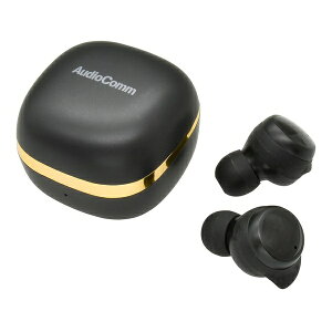 �y10�Z�b�g�z �I�[���d�@ HP-W430N-K ���S���C�����X�z�� (Bluetooth/USB-C���d/�h�o�h��IP54/�}�C�N����/�A���g�p6����/�u���b�N)