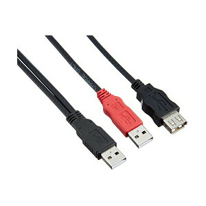 �y2�Z�b�g�z�G���R�� USB-AAE5DPBK �_�u���p���[USB�P�[�u�� USB2.0 �o�X�p���[�@��̓d�͕s�������� 0.3m ���i��