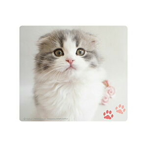 y8Zbgz TTvC }EXpbh ( XReBbVtH[h ) MPD-215E ܂Ƃ߃Zbg i