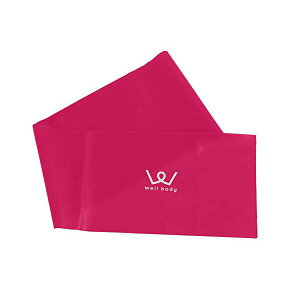 y2Zbgz ACR ALINCO g[jO`[u GNTTCYoh \tg WBN010 i