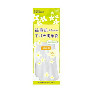 y3Zbgz _bvz[v_Nc DR87525 z[v_Nc  ΂p q ی zCg t[ rh~ Dunlop Home Products _bv Lb`u` 䏊Օi Lb