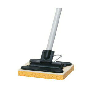 y5Zbgz eg CL8086 SPX|Wbv ւNO.15 TERAMOTO X p @ XyA i ƒ ze |p փX|W |pi a@ wZ ǖ ^ | i