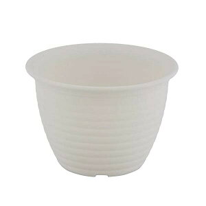 y10Zbgz xXgR t[O|bg  v^[ 5 zCg MA-3263 Aؔ ϗtA | |bg |pi INg vX`bN lCi