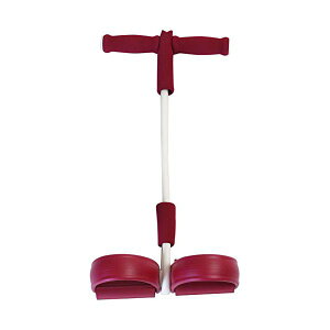 y2Zbgz ACR ALINCO GNTTCYv WBN226 y _CGbg GNTTCY ؃g i