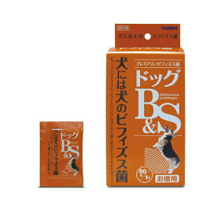 y4Zbgz g[X ybgp hbOB&S 1g×60  SN pTvg  Tvg Y  hbO {  ybg p Tv If