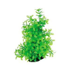 y6Zbgz XyNguYWp eg Tetra tLVuvg FP-2 MыEϏ܋ ANAEpi XyNg XyNguY Ϗ܋pi ANZT[ ANA