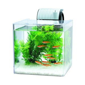 XyNguYWp eg Tetra vX`bN Âȃ_JZbg SF-17KF ANAE _J MыEϏ܋ SN XyNg Zbg Zbg ANAE