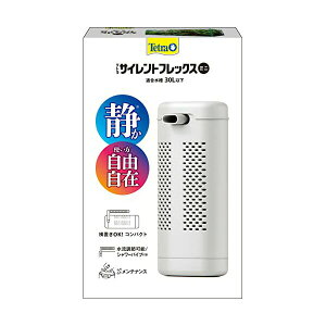 XyNguYWp eg Tetra vX`bN TCgtbNX ~j tB^[ ANAE Mы _J  SN XyNg XyNguY P 