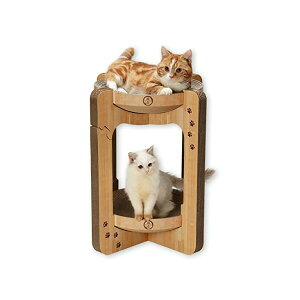 L oo{E^[ M[ CguE L SN necoichi _[NuE Lbg^[ _{[ oo{E ؖڒ ybgpi gi  i{[ lR eT