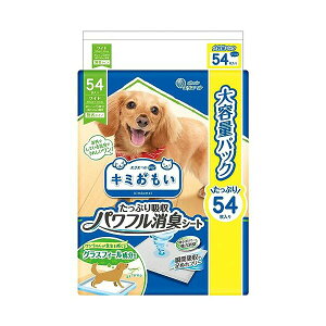 剤 L~ ptLV[g Ch 54 If i1̂lił