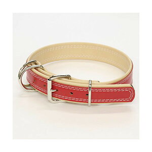 yeBI Of _uXeb`J[ L bh ^ 40kg { Petio W25028 ybgObY p v TCY Ck ^p Y J[ hbO v U[  ybg p 