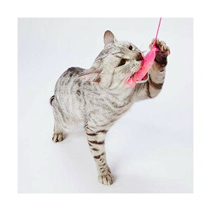 y3Zbgz yeBI Lp eLp ͂߃tBbVL炵 SL Petio W26454 XgXU ˂炵 L炵 tBbV ybgpi fC[ Lbg 炵 q