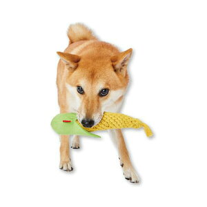 yeBI p ҂łCORNf^ M ^璆^ Petio W27420 I[Xe[W pi ʂ [v ^ ybg p  킢 ^ ߋ If i1