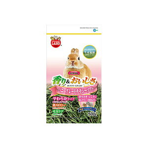 y6Zbgz }J oj[O[h`V[\tg 500g EbgE``Ȃǂ̏ MR-858 W255xD150xH510 MARUKAN v[[hbO ETMpt[h 炩^Cv pi