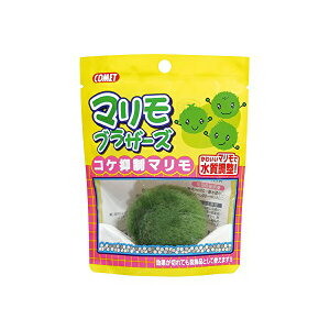 y6Zbgz CgXC Rbg @\ }uU[Y RP}} MыEϏ܋ SN pi  Ϗ܋p p  Y pi { 