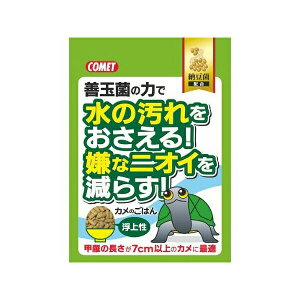 y40Zbgz CgXC Rbg jICEꂪȂȂ Ĵ͂[ 500g ঒ CX Si SN  [ۓ ybgt[h JVE Ĵ͂ ybgpi 