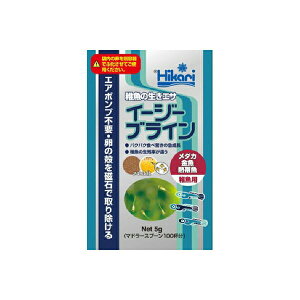 y5Zbgz L[ C[W[uC 5g V[t[h  hC MыEϏ܋ SN Si Ϗ܋pt[h uCVv ANAE _JC t[h GT Mы 