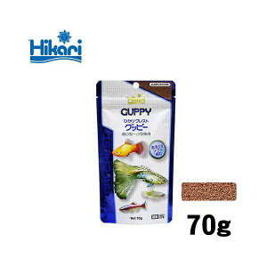 キョーリン ひかりクレスト グッピー 70g シーフード 顆粒 サカナ 全年齢 大型犬種 熱帯魚用フード アクアリウム 観賞魚用 クレスト エサ 熱帯魚 国産 ひかり 魚用品 観賞魚 フード 日本製 熱