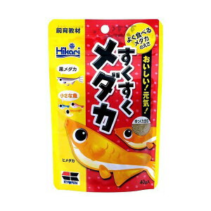 y6Zbgz L[ qJ Hikari _J 40g  TJi SN pt[h GT ߂ 狳 t[h ybg If