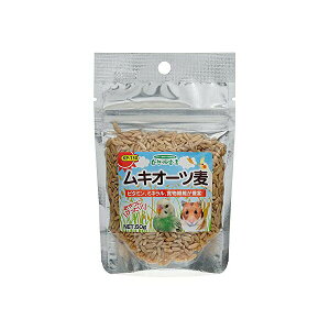 y3Zbgz ybgt[h Rh錾 LI[c 50g o[hA pi nX^[  Rh GT  Ƃ h{⏕H X t[h ybg If