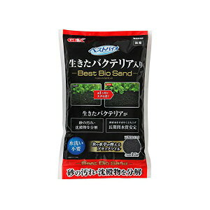 WFbNX xXgoCITh 1.5L e TCY 2 4mm gp W GEX Ϗ܋pi xXgoCI ANAE ybgpi \C pi ꏰ p Mы Y Wp pi 