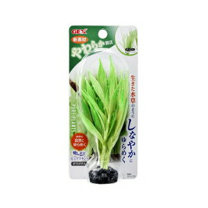 y3Zbgz WFbNX 炩VRvc i sAvc |Si GEX Ϗ܋pi ANZT[ ybgpi Ϗ܋p p pi Ϗ܋ pi ObY  