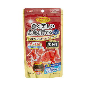 y3Zbgz WFbNX C voCIp[t[h 70g t[h e 70g GEX pt[h ybgpi GT ̉a p Ϗ܋ t[h ybg Fg W  