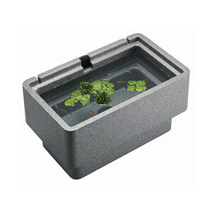 WFbNX _JC K ɐBP[XS If i1̂lił