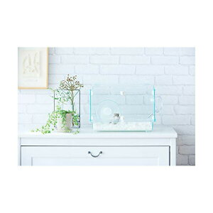 WFbNX nr񂮃OX n[j[ 360 vX If i1̂lił