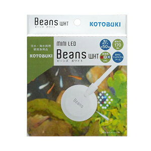 H| ~j LED r[YzCg MыEϏ܋ SN RguL kotobuki RguLH| ^p ANAE eE zCg Cg  r[Y ybg Ɩ If i1