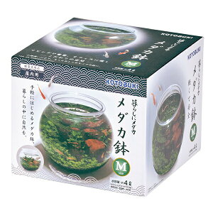 H|炵 _J _J M If i1̂lił