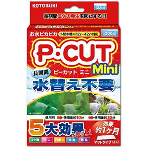 寿工芸 水槽 P・カットミニ 42 1枚入 熱帯魚・観賞魚 全年齢 コトブキ kotobuki コトブキ工芸 コケ防止 小型水槽 ペット ミニ 厳選素材 価格は1個のお値段です