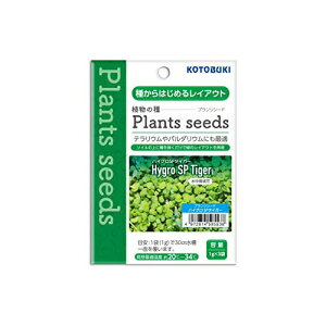 H|  vcV[h nCO SP ^CK[ MыEϏ܋ SN RguL kotobuki RguLH| Ϗ܋ If i1̂lił