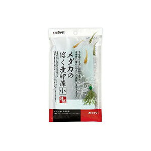 y3Zbgz Xh[ _J̕Y  MыEϏ܋ S SUDO Ϗ܋pi _J琬pi X^[ybg ߂ pi Ϗ܋ pi  |p ybg _Jp Y pi Z